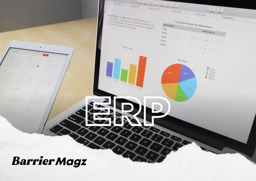 Tips Memilih Software Cloud ERP Indonesia dan Rekomendasi Sistem ERP Terbaik