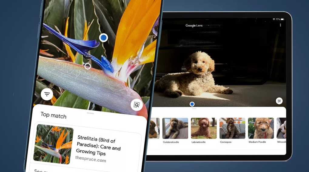 Cara Menggunakan Google Lens Di iPhone Atau iPad