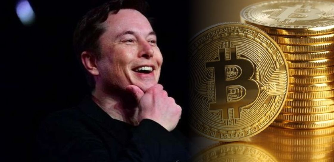 Identitas Pencipta Bitcoin Satoshi Nakamoto di Bongkar Oleh Elon Musk