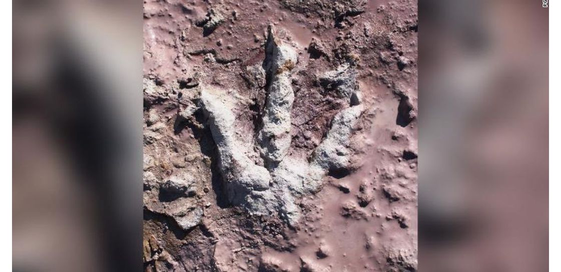 Jejak Kaki Dinosaurus Berusia 200 Juta Tahun Ditemukan Di Polandia