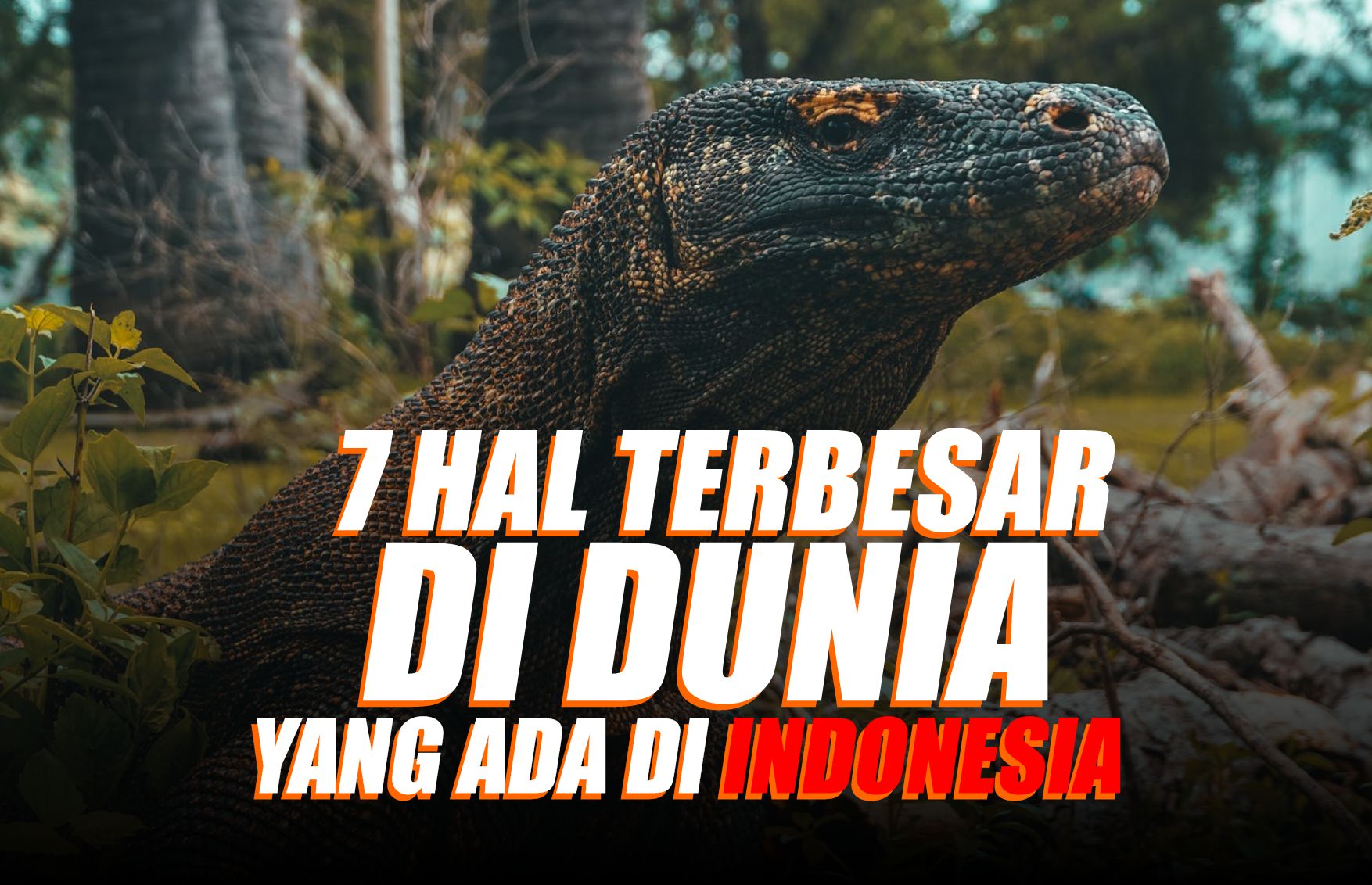 7 Hal Terbesar di Dunia yang Ada di Indonesia