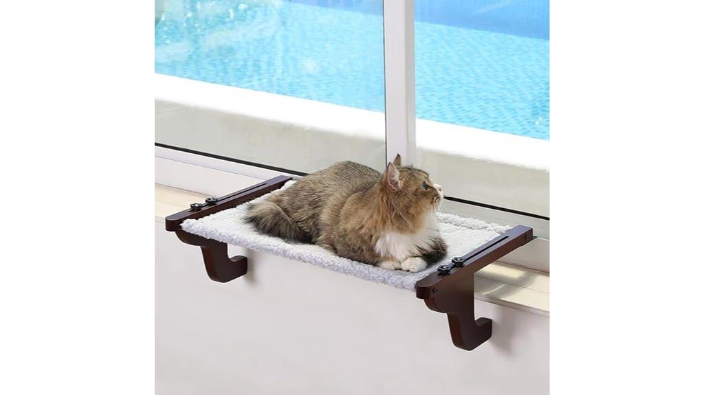 cat perch for window