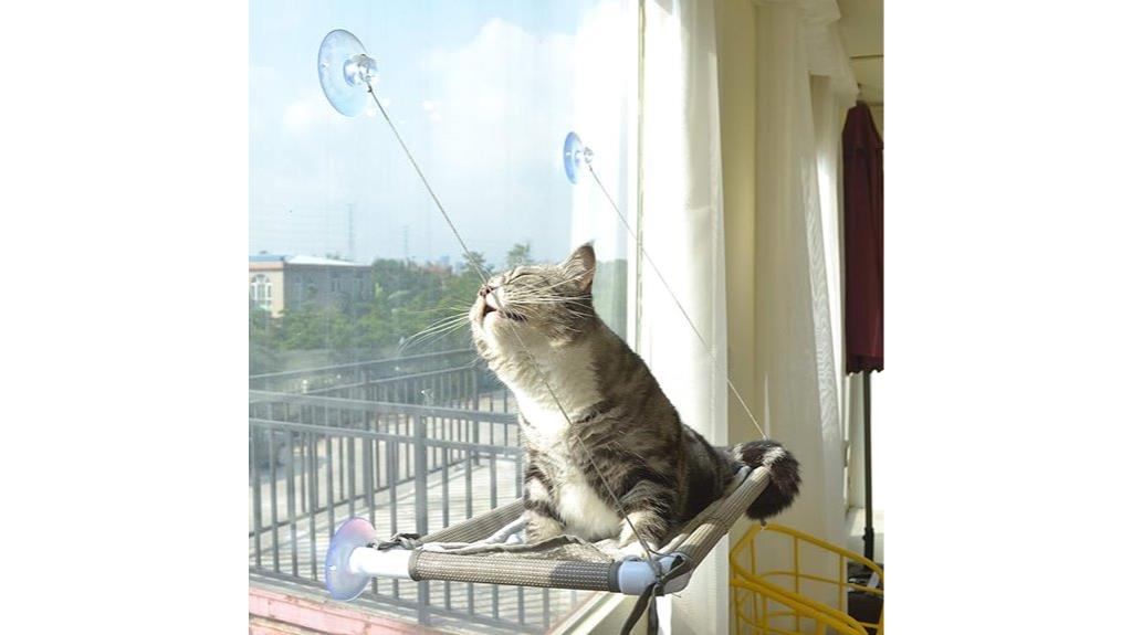 cat window hammock perch
