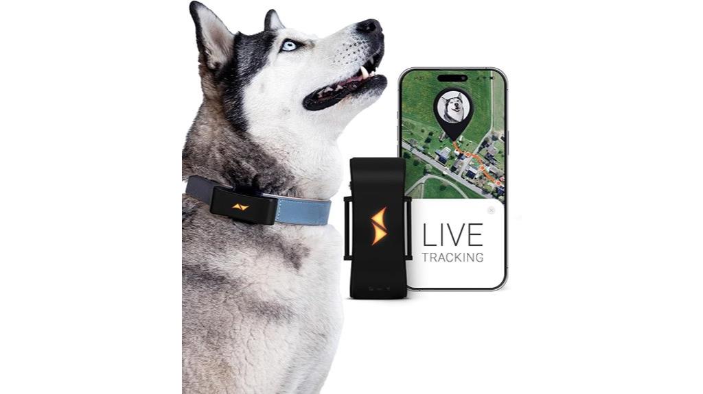 dog gps tracking device