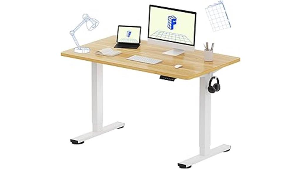 electric 48x24 standing desk