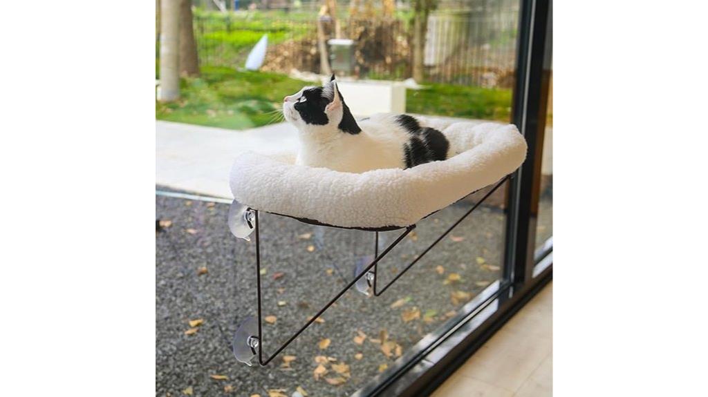 large cat window bed