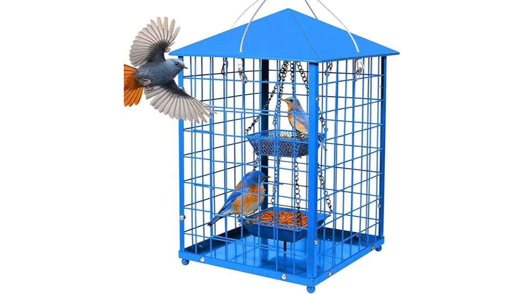 mealworms for bluebird feeder