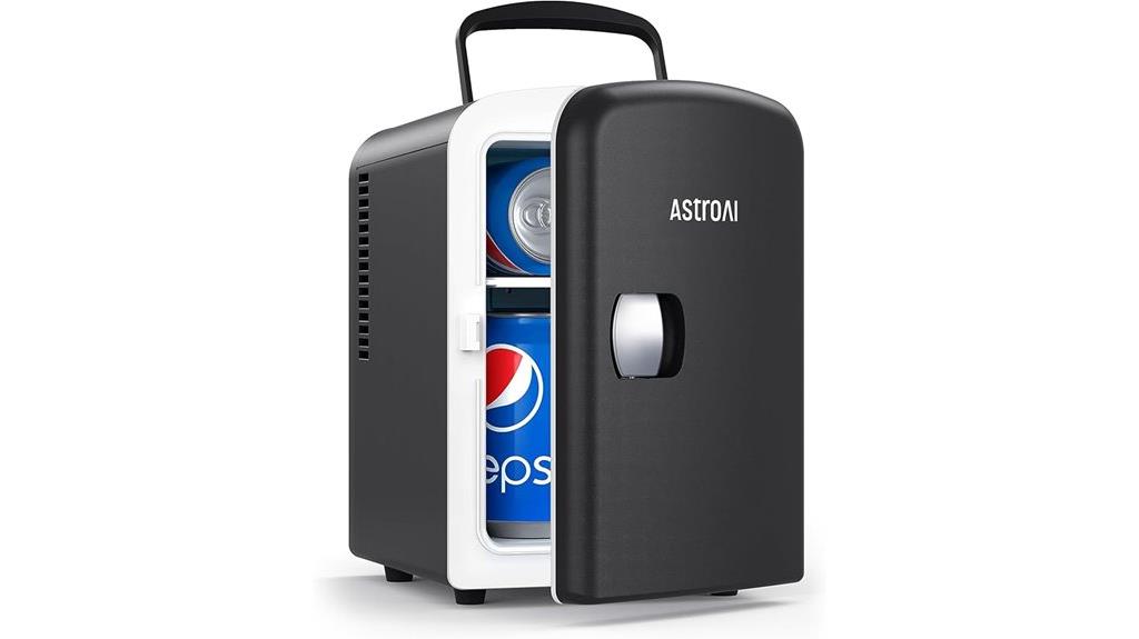 portable 4l 6 can cooler