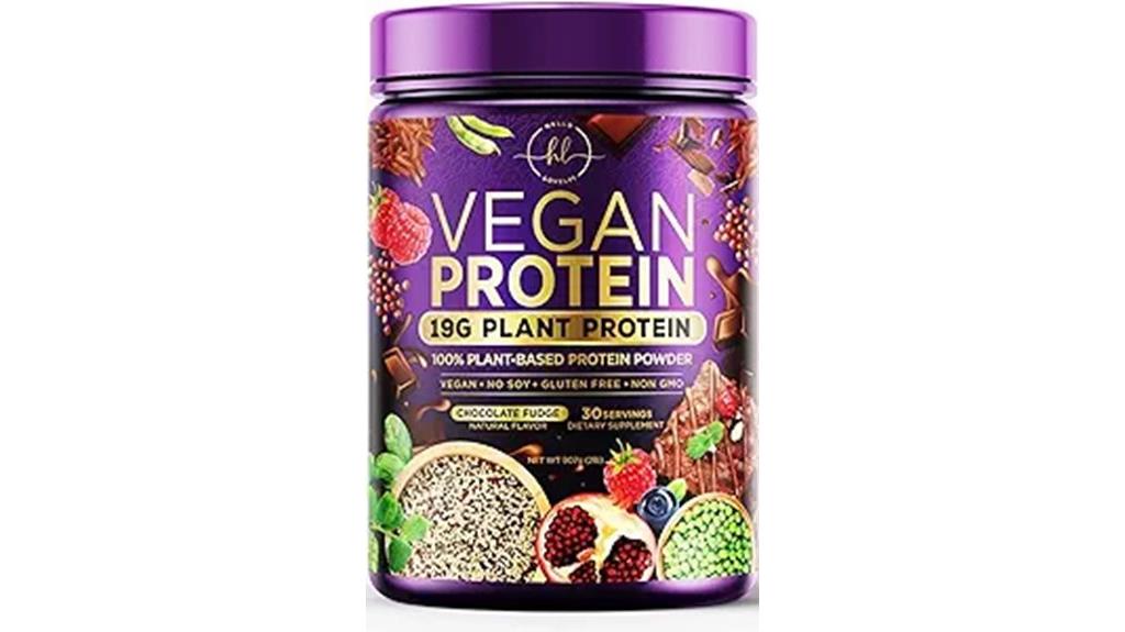 vegan chocolate fudge powder