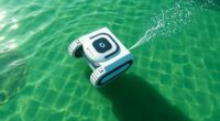 automatic cleaners and algae