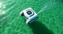automatic cleaners and algae