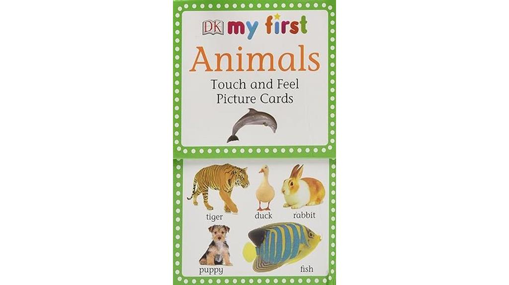 animal themed tactile picture cards
