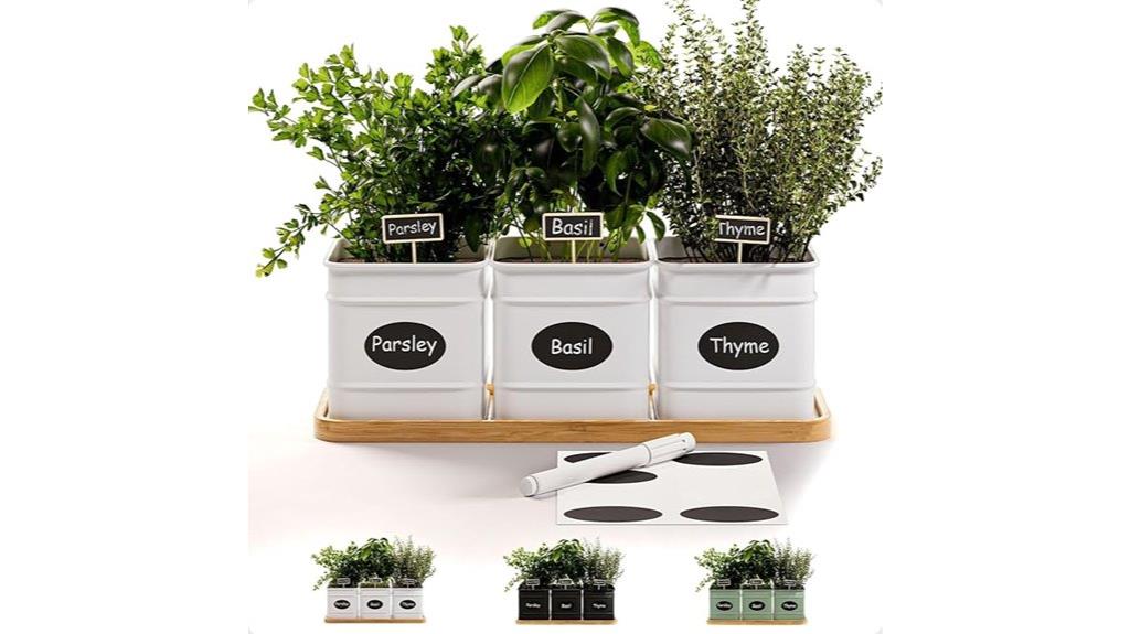 indoor herb garden set