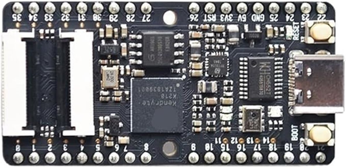 risc v ai iot board
