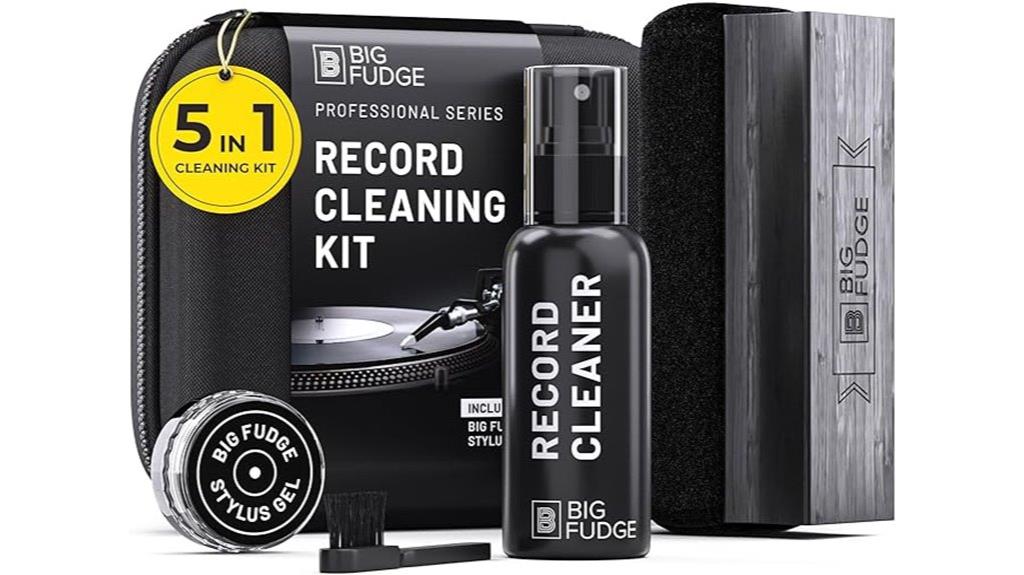vinyl record cleaning kit