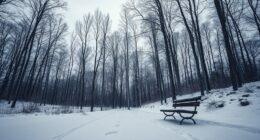 managing seasonal affective disorder