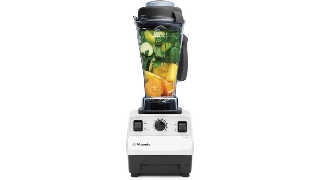 professional grade blender