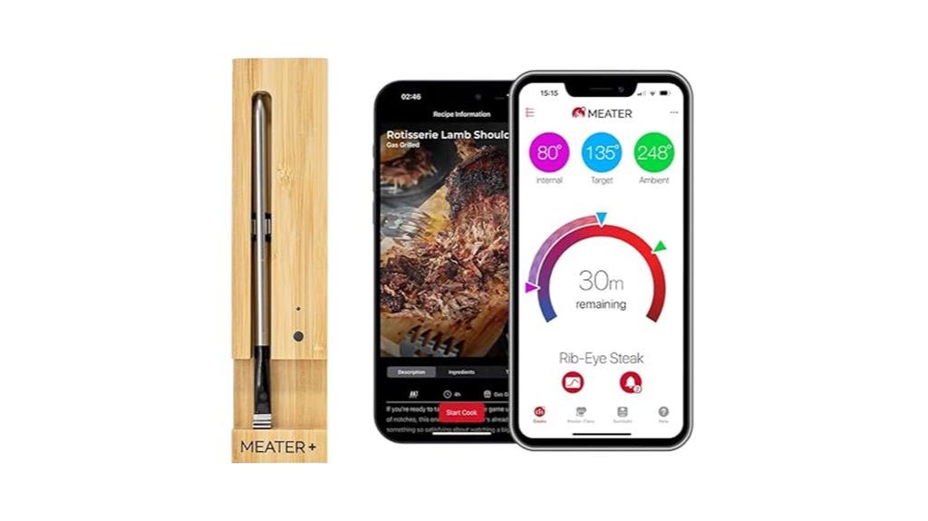 wireless meat cooking tool