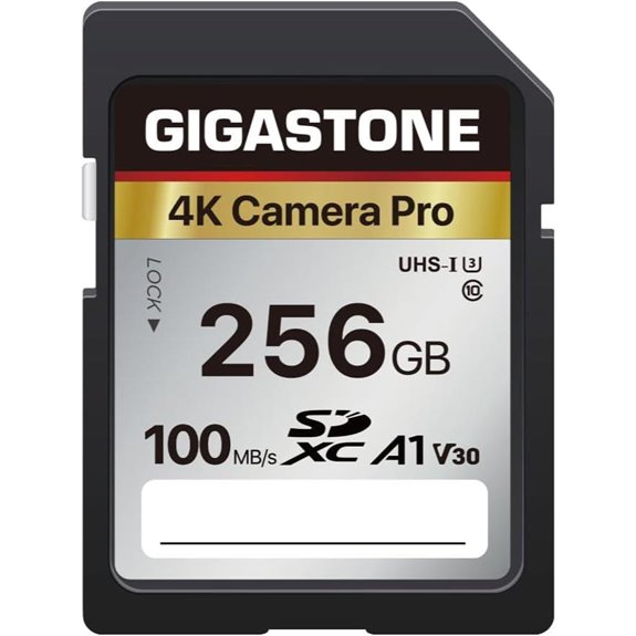 GIGASTONE 256GB SD Card for 4K Cameras