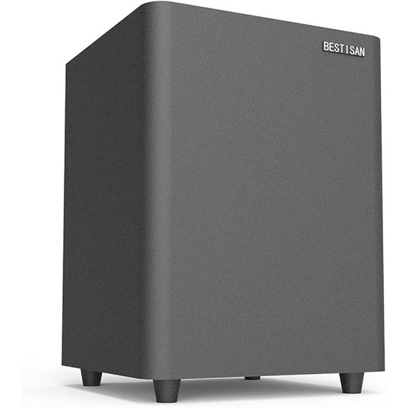 BESTISAN 6.5 Powered Home Subwoofer