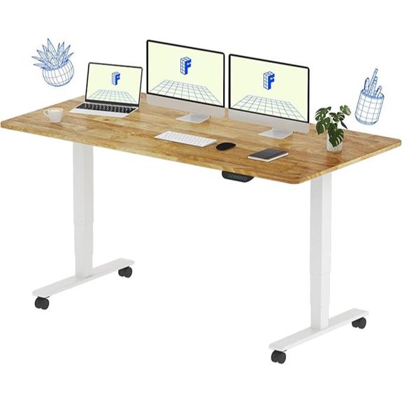 FLEXISPOT E6 MAX Standing Desk with Wheels