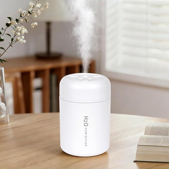 Portable Mini Humidifier with Colorful Lights