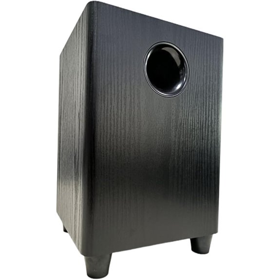 6.5 Inch Passive Subwoofer with Heavy Bass