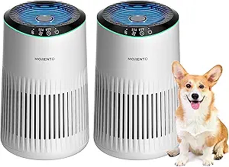 dual bedroom air purifiers