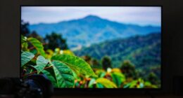 4k streaming quality myths