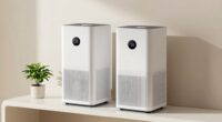 air purifier fundamentals explained