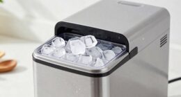 nugget ice machine maintenance