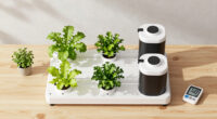 14 Best Indoor Hydroponic Garden Systems in 2026