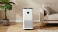 7 Best Large Room Air Purifiers for Open Floor Plans in 2026