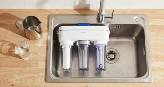 9 Best Under Sink Water Filter Systems in 2026
