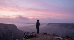 adapting through uncertainty effectively