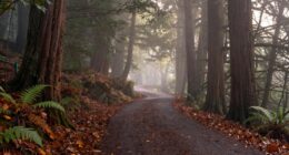 embrace ambiguity and act