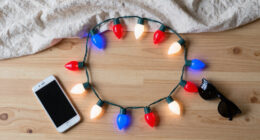14 Best Patriotic LED String Lights in 2026