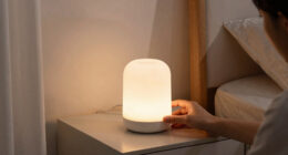 2 Best Home Night Lights In 2026