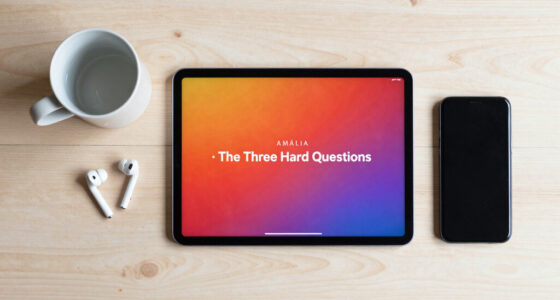 AMÁLIA · The Three Hard Questions.